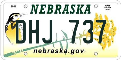 NE license plate DHJ737