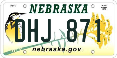 NE license plate DHJ871