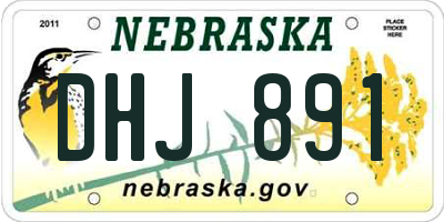 NE license plate DHJ891