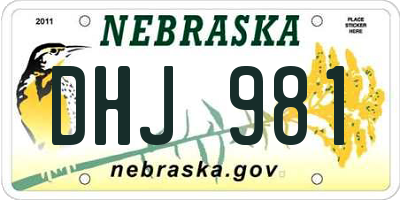 NE license plate DHJ981