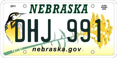 NE license plate DHJ991