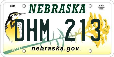 NE license plate DHM213