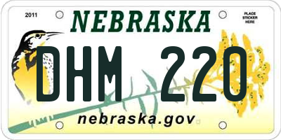 NE license plate DHM220