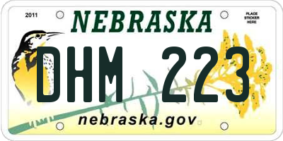 NE license plate DHM223