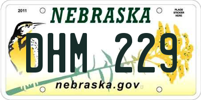 NE license plate DHM229