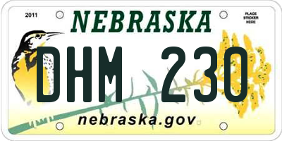 NE license plate DHM230