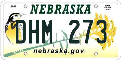 NE license plate DHM273