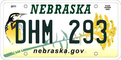 NE license plate DHM293