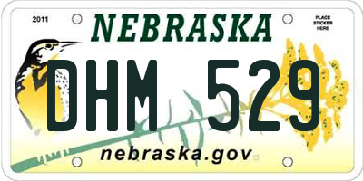 NE license plate DHM529