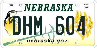 NE license plate DHM604