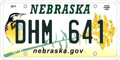 NE license plate DHM641