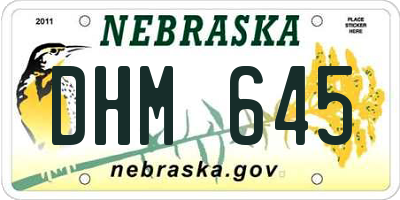 NE license plate DHM645
