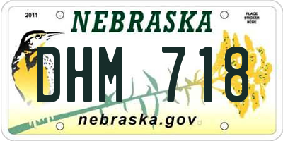 NE license plate DHM718