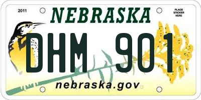 NE license plate DHM901
