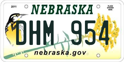 NE license plate DHM954