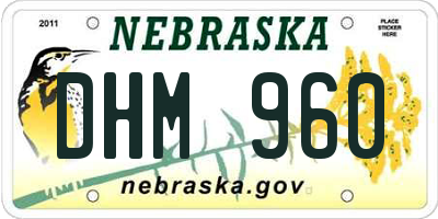 NE license plate DHM960