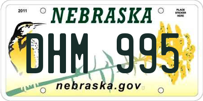 NE license plate DHM995