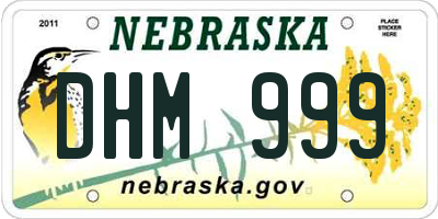 NE license plate DHM999