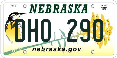 NE license plate DHO290
