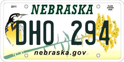 NE license plate DHO294