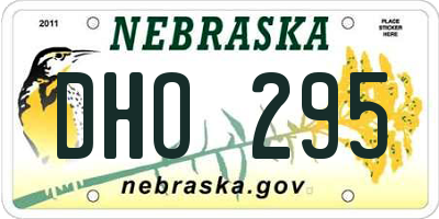 NE license plate DHO295