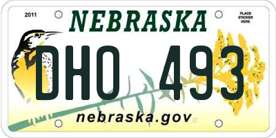 NE license plate DHO493