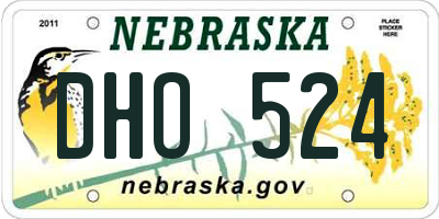 NE license plate DHO524