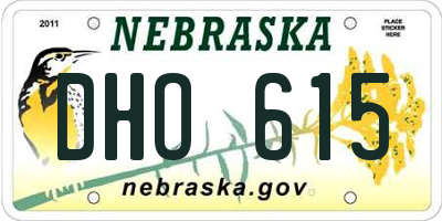 NE license plate DHO615