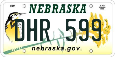 NE license plate DHR599