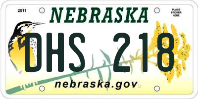 NE license plate DHS218
