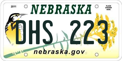 NE license plate DHS223