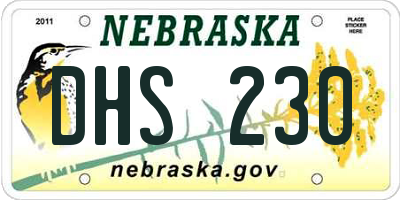 NE license plate DHS230