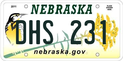 NE license plate DHS231