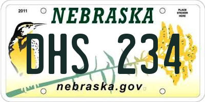 NE license plate DHS234