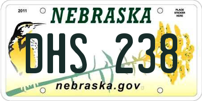NE license plate DHS238
