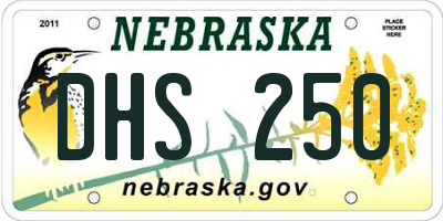 NE license plate DHS250