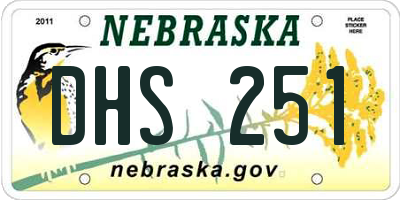 NE license plate DHS251