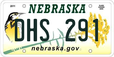 NE license plate DHS291