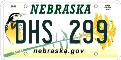 NE license plate DHS299