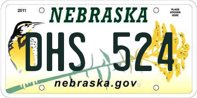 NE license plate DHS524