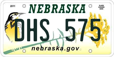 NE license plate DHS575