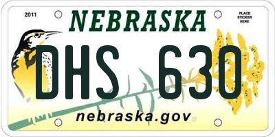 NE license plate DHS630
