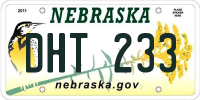 NE license plate DHT233