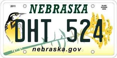 NE license plate DHT524