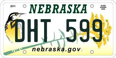NE license plate DHT599