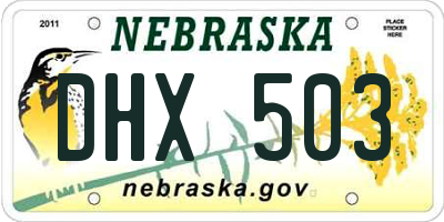 NE license plate DHX503