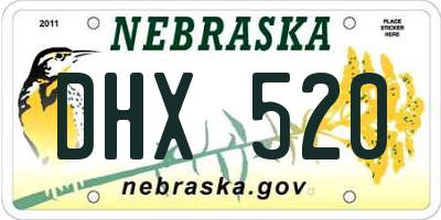NE license plate DHX520