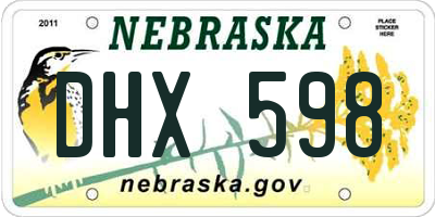 NE license plate DHX598