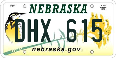 NE license plate DHX615