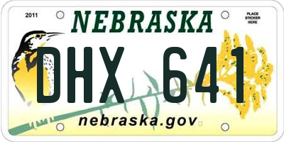 NE license plate DHX641